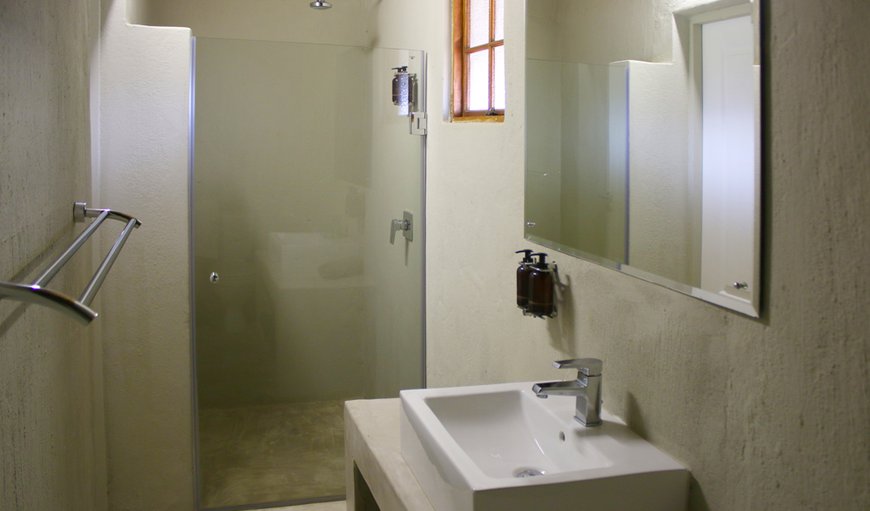 Safari Standard Room: Bathroom