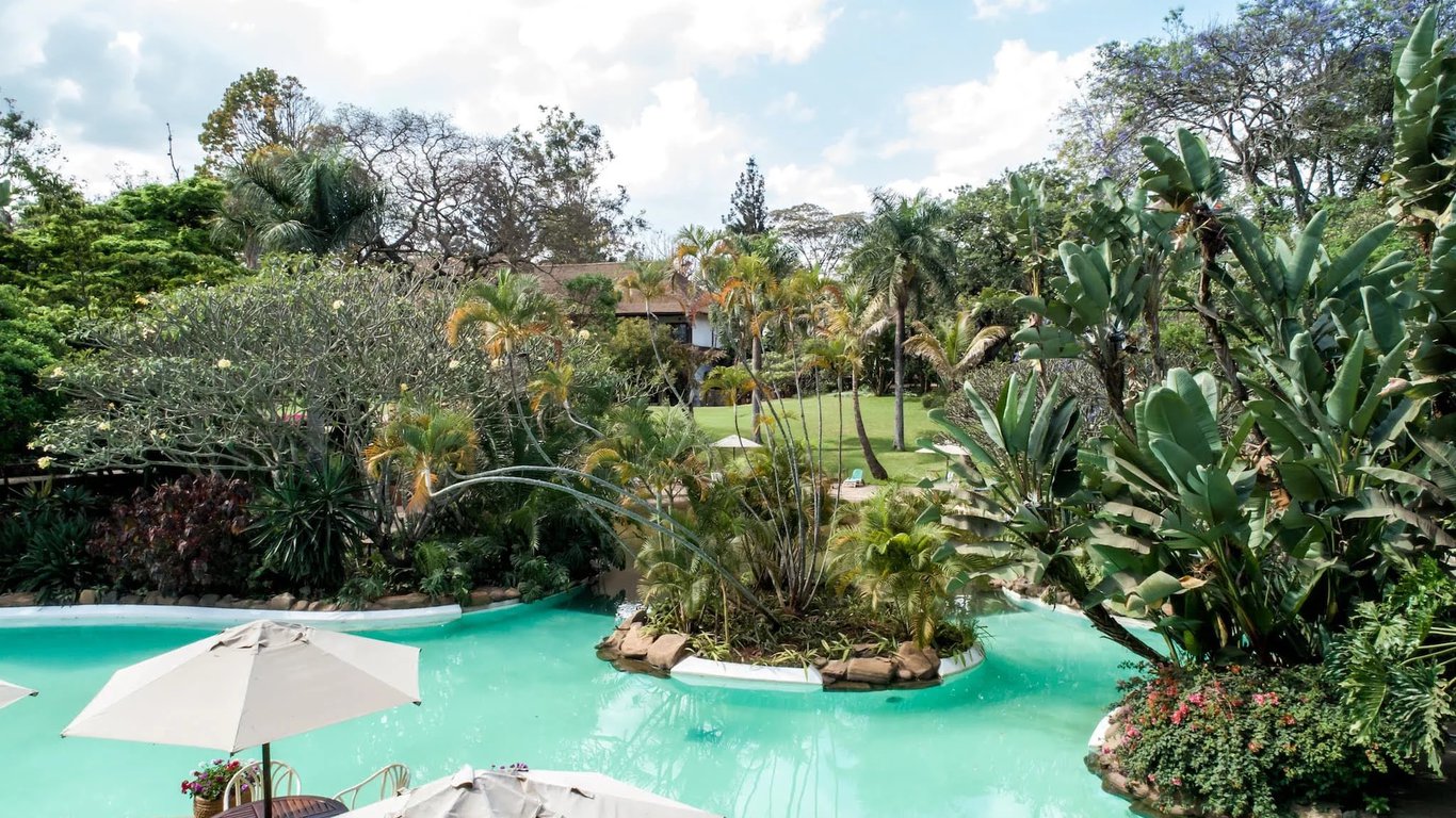 safari park hotel pool