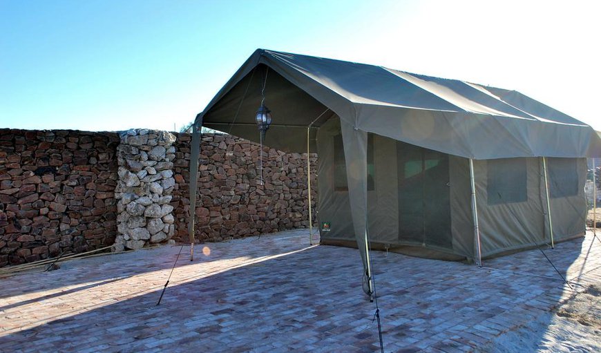Safari Tent: 2 Bedroom pitched tent