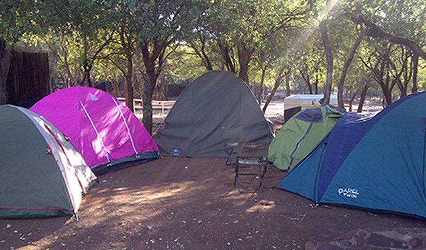 CAMP SITE PITCHES: Group campers