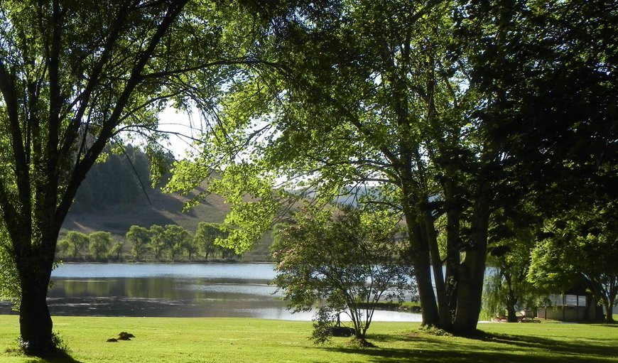 Welcome to Waterwoods in Midlands, KwaZulu-Natal, South Africa