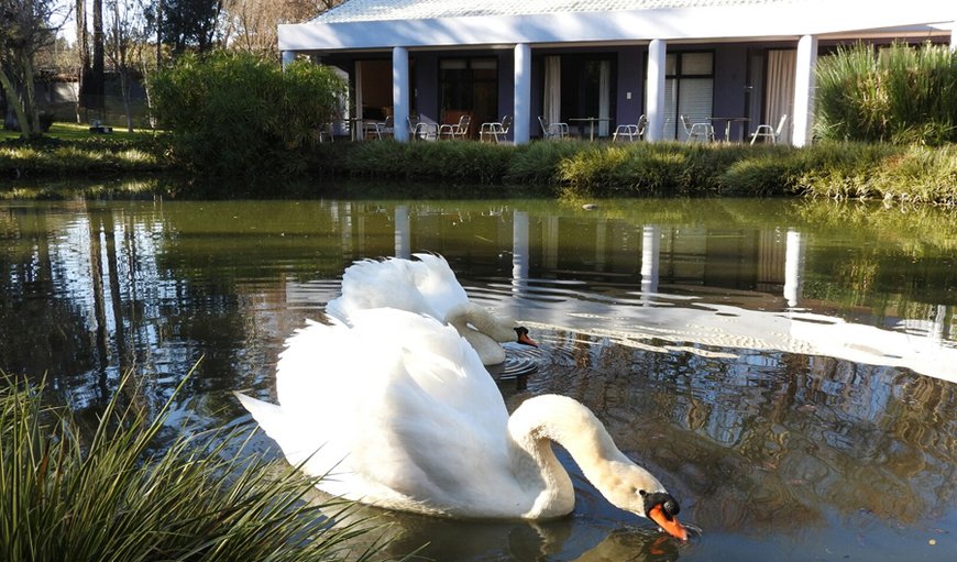 Willow Place in Midrand, Gauteng, South Africa