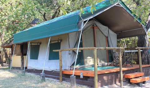 Luxury Safari Tents: View (from property/room)