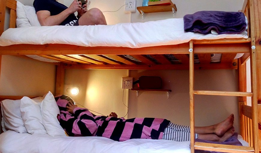 6 Bed Mixed Dorm: 6 Bed Mixed Dorm