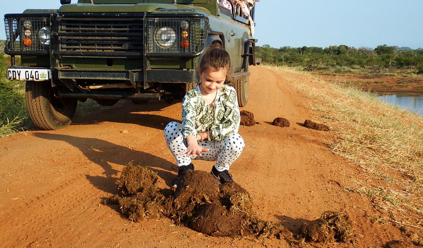 Family friendly safaris