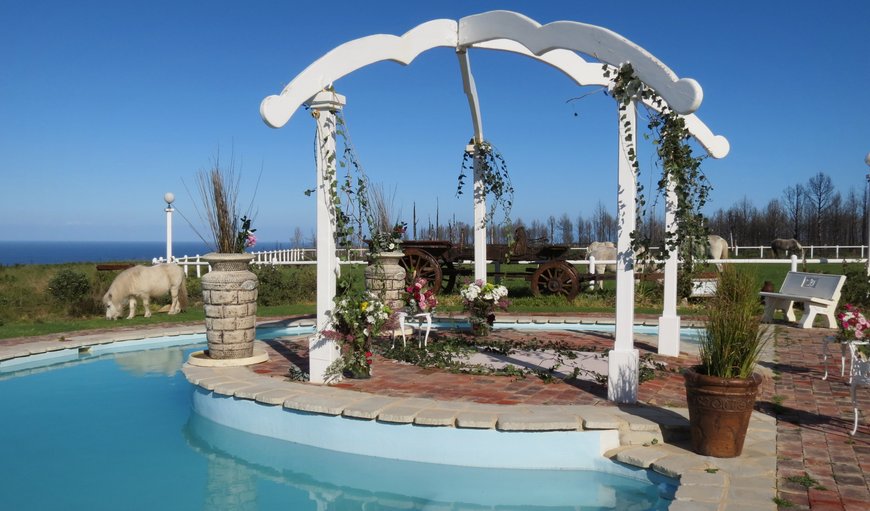 Pool with sea view