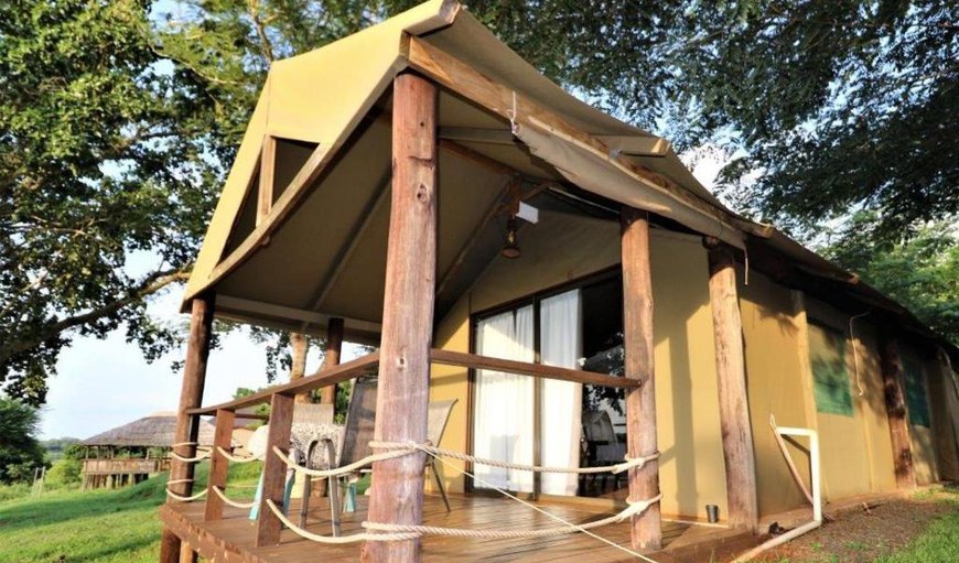 Large Safari Tent with Deck (En-Suite): Safari Tent with Deck