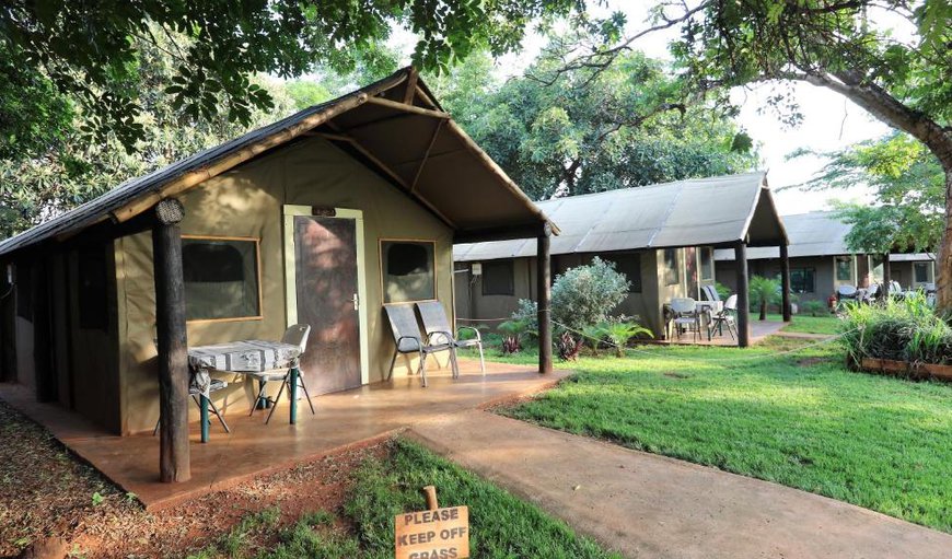 Safari Tent (En-Suite): Exterior of the Safari Tent