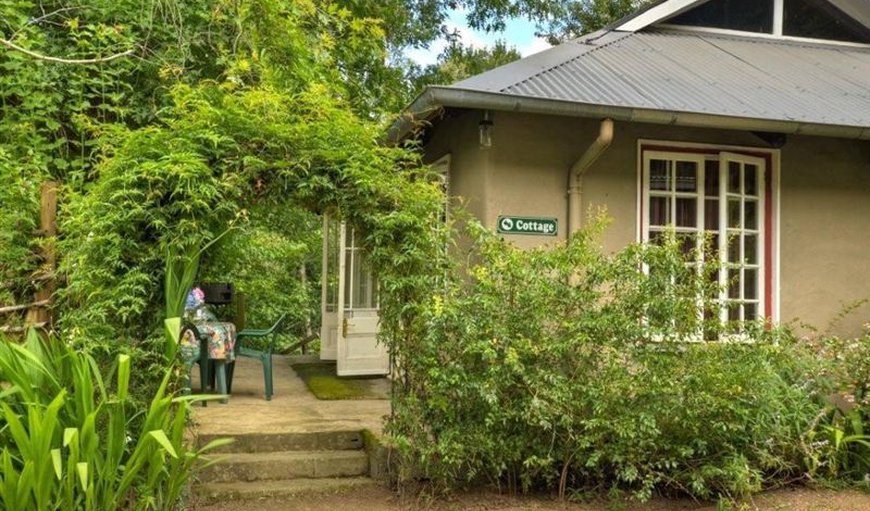 The Studio Cottage - Hogsback - Exterior