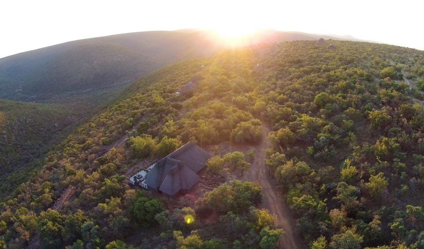Welcome to Dinkweng Safari Lodge! in Melkrivier, Vaalwater, Limpopo, South Africa
