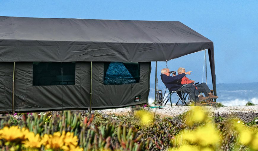 Glamping Tent - Beach Camp: Welcome to Namaqua Flower Beach Camp