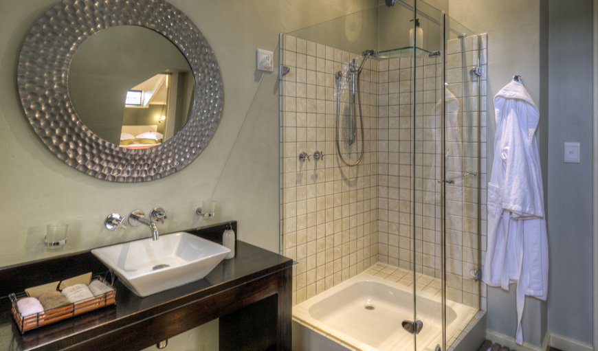 Double room (Queen): Queen (Bathroom with shower)