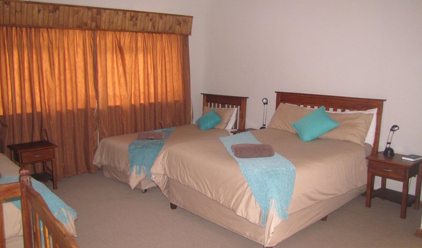 Family Room: Family room with double bed and 2 single beds. Little kitchen and bathroom.