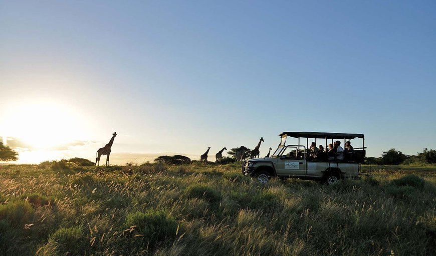 Enjoy an authentic bush experience in a peaceful, natural haven, boasting impeccable service and all home comforts at our award winning accommodation. Enjoy an authentic bush experience in a peaceful, natural haven, boasting impeccable service and all home comforts at our award winning accommodation.