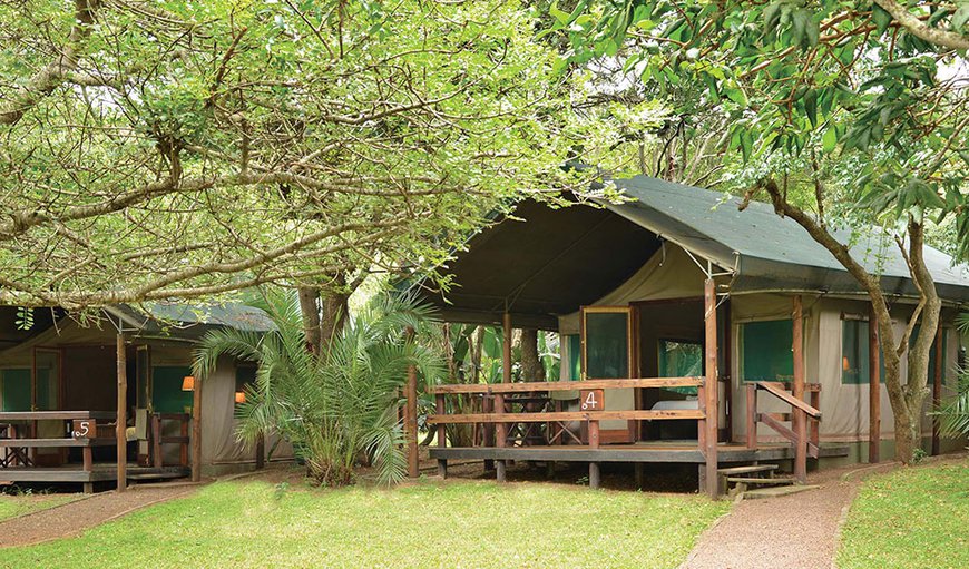 Luxury Tented Double: Luxury tented accommodation provides true safari ambiance.