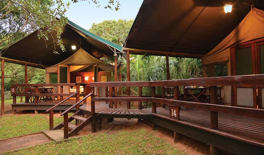Luxury Tented Chalet Twin: Enjoy an authentic bush experience in a peaceful, natural haven.
