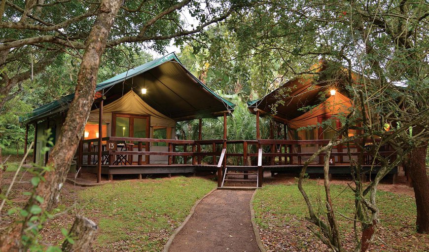 Our Family Tent comprises of 2 Luxury tents side by side with an interleading deck, and is ideal for families with children who are happy to sleep alone, but be close-by. Our Family Tent comprises of 2 Luxury tents side by side with an interleading deck, and is ideal for families with children who are happy to sleep alone, but be close-by.