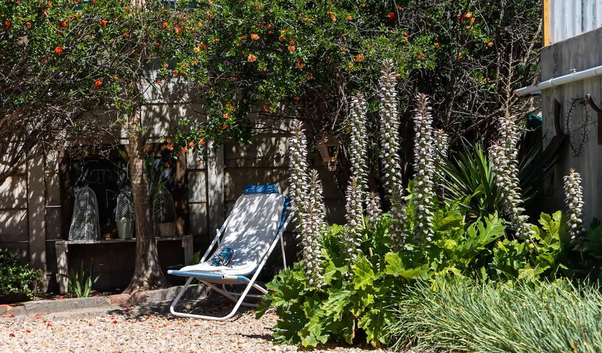 Lovely shaded out door lounge area