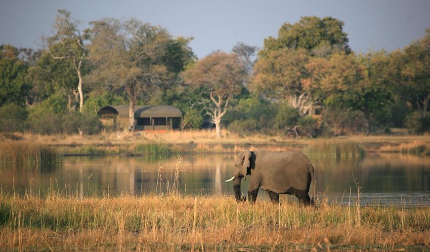 Jackalberry Tented Camp in East Caprivi, Caprivi, Namibia