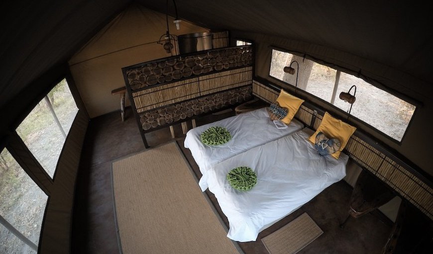 Twin Room Tent: Twin Room Tent.