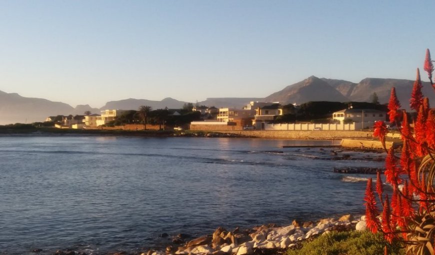 Amazing beach at the "Komm" in Kommetjie, Cape Town, Western Cape, South Africa