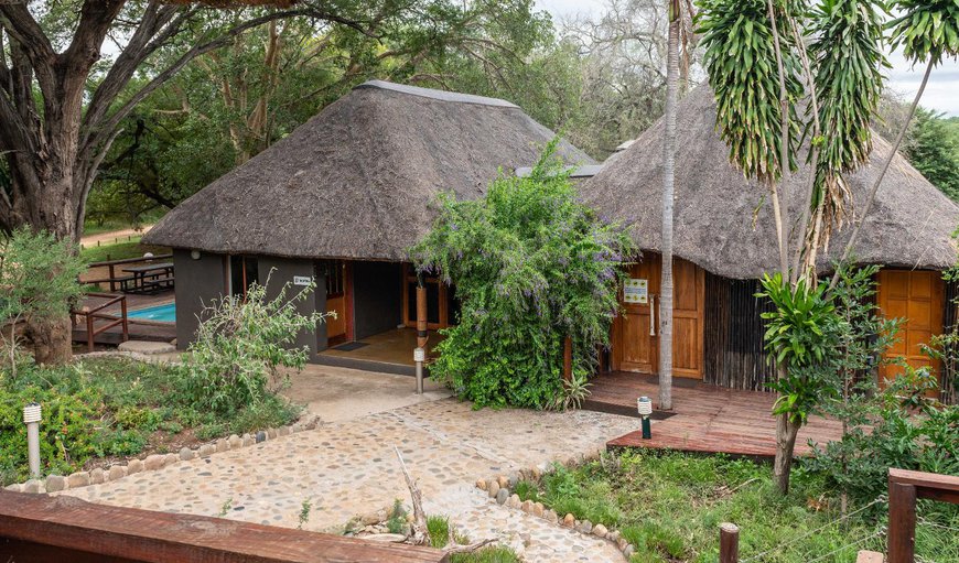 Welcome to Bushriver Lodge in Hoedspruit, Limpopo, South Africa