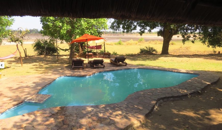 Welcome to Zikomo Safari Camp! in Lusaka, Lusaka Province, Zambia