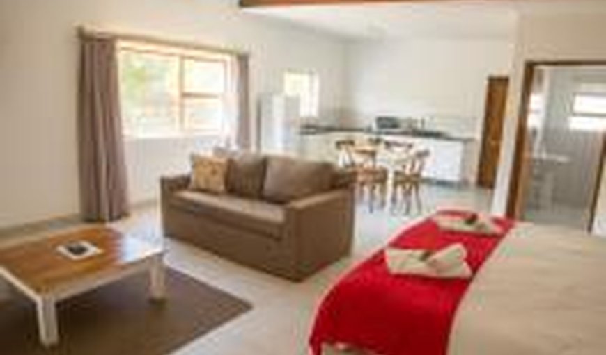 Double Villa Room: Open plan kitchen, living room & bedroom
