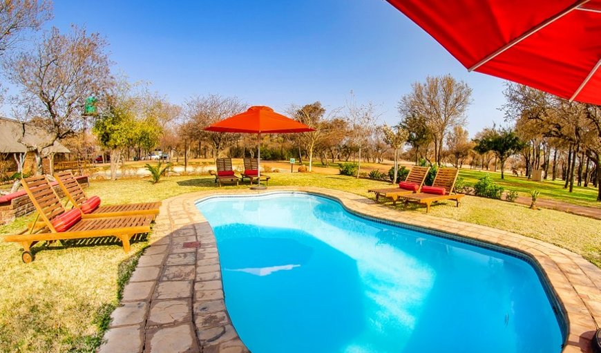 Welcome to Tshikwalo Lodge in Dinokeng, Johannesburg (Joburg), Gauteng, South Africa