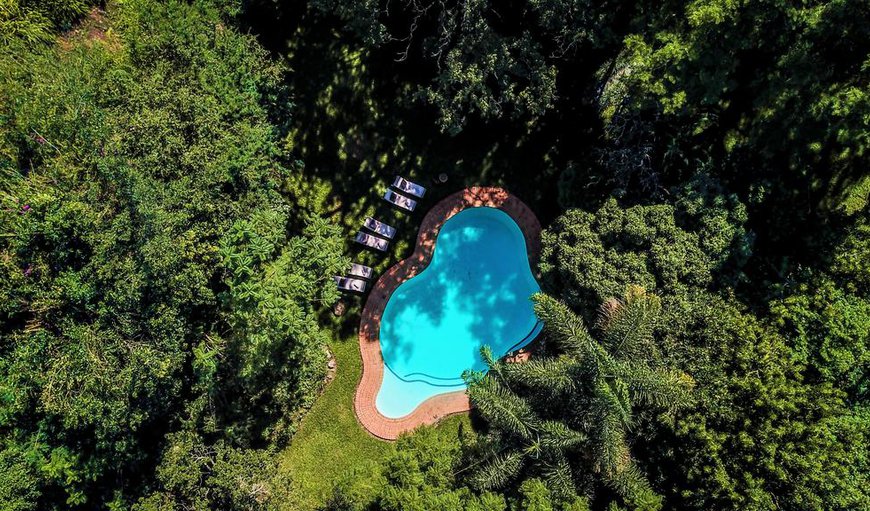 Swimming pool nestled away in the trees