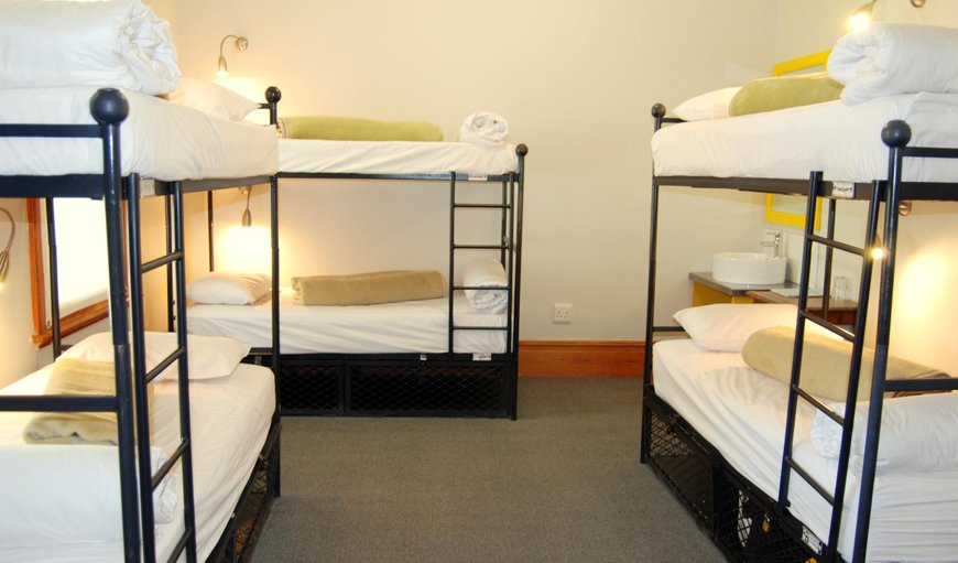 6-Bedded Mixed Dormitory: 6 Bed Mixed Dormitory