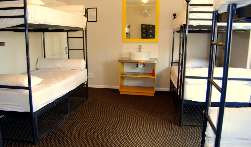 8-Bedded Mixed Dormitory: 8 Bed Mixed Dormitory