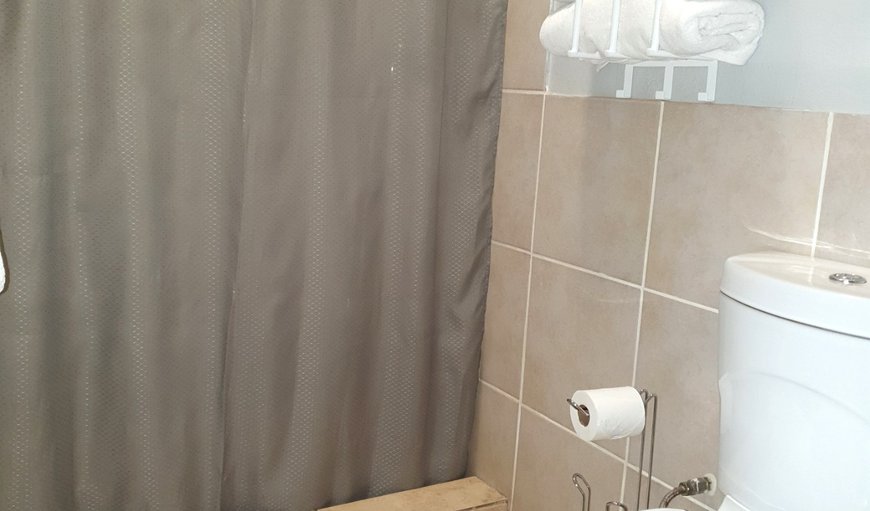 The Annex @ Gecko: The Annex Ensuite Shower Bathroom