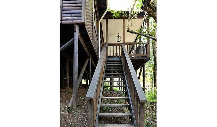 The Log Cabin: Stairs to The Log Cabin