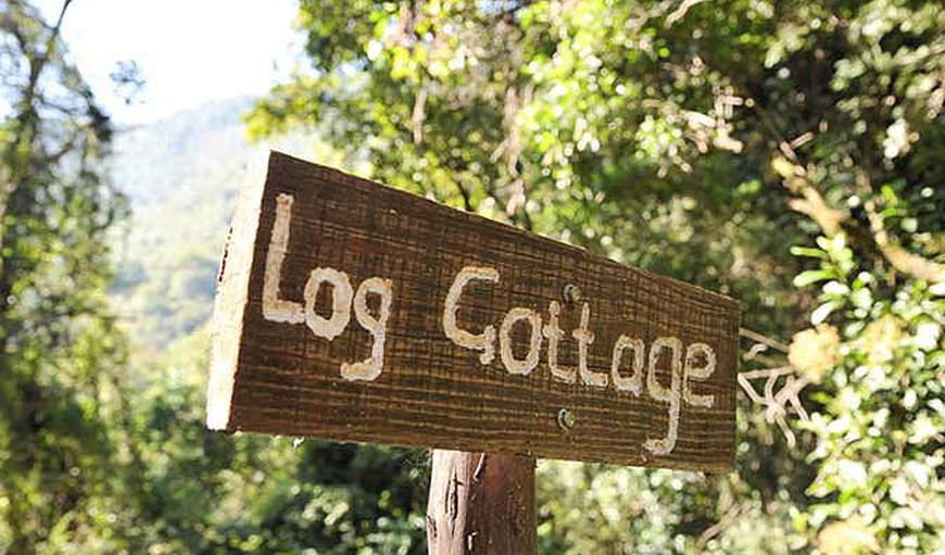 The Log Cottage: The Log Cottage