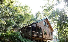 Forest Bird Lodge image