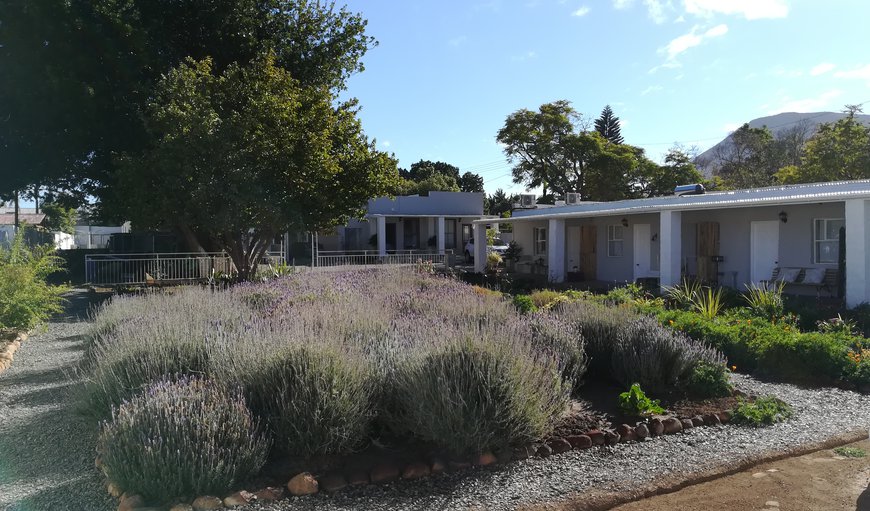 Welcome to Rietjiesbos Bed & Breakfast in Graaff Reinet , Eastern Cape, South Africa