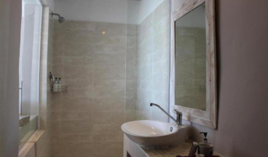 Luxury King Room With Shower: Shower