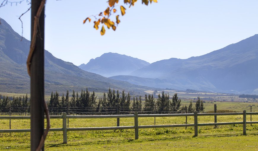 Welcome to Raptor Rise in Tulbagh, Western Cape, South Africa