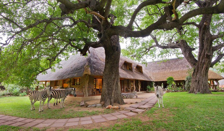 Welcome to Blyde River Canyon Lodge in Hoedspruit, Limpopo, South Africa