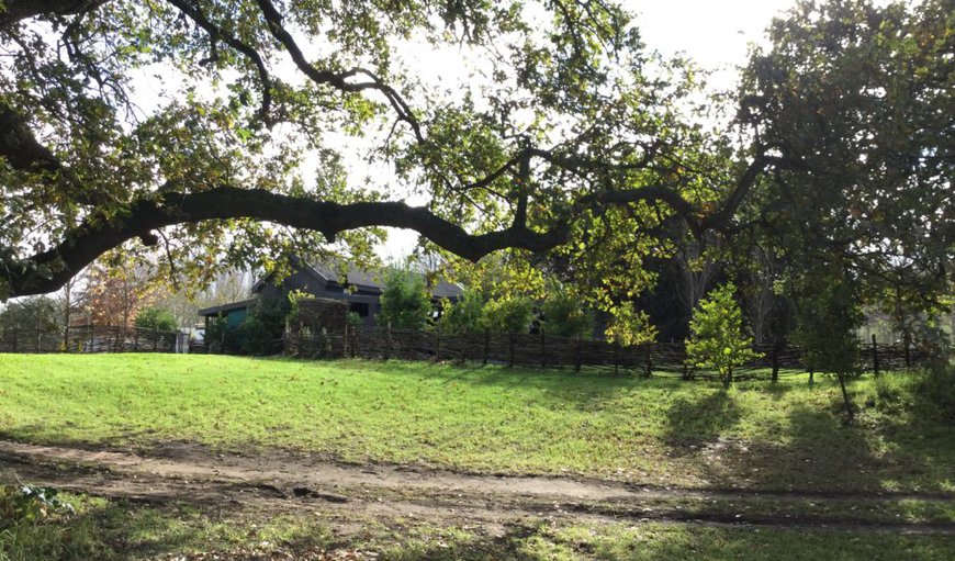 The land comes first and cottages are built to enhance nature and the surrounding countryside.