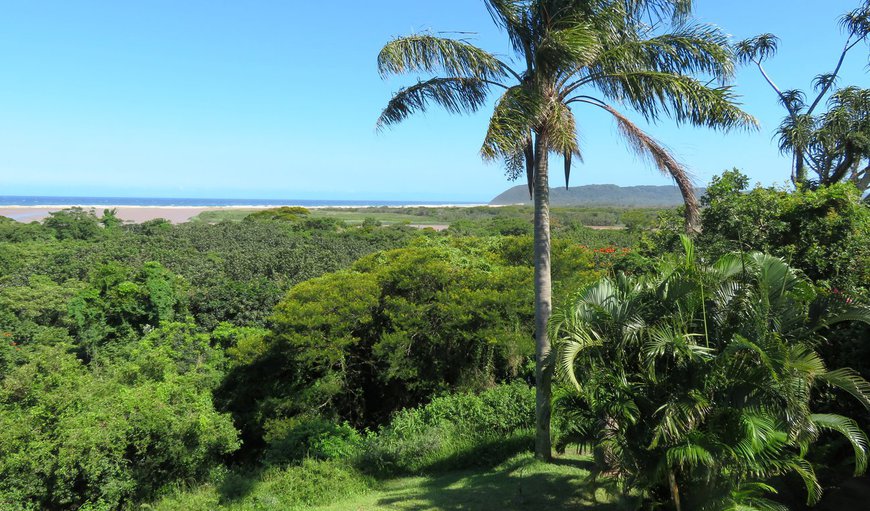 Little Eden St Lucia in St Lucia, KwaZulu-Natal, South Africa