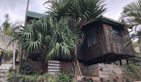 Starfish Family Cabin (2-3 sleeper): Starfish Family Wooden Cabin