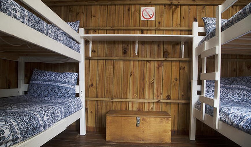 1 x Dorm Bed (6 sleeper cabin) (BC5): Bed in a 6 Sleeper Dorm