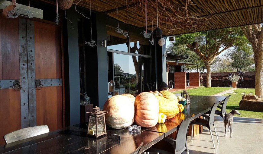 Chill on the stoep while savouring your organic coffee or eating something yummy and wholesome which was conjured up in our kitchen. Chill on the stoep while savouring your organic coffee or eating something yummy and wholesome which was conjured up in our kitchen.