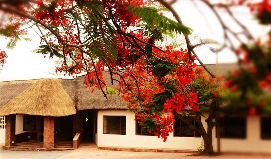 Buffalo Hotel in Malelane, Mpumalanga, South Africa