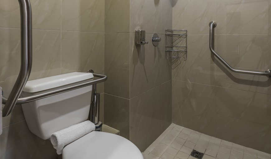 Wheelchair Friendly Rooms: Bathroom