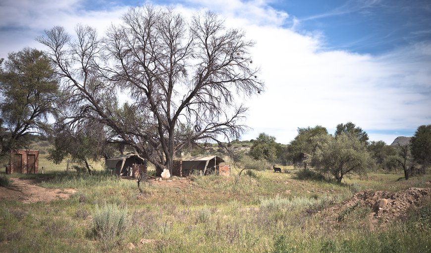 Campsite: The name Sweet Thorn derives its name from the large, populous Acacia Karoo that lines the Seeis River, which in turn cuts through the property providing our water source and plentiful shade to our campsites.