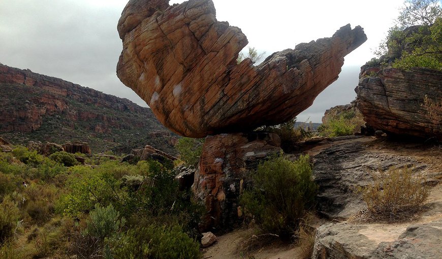 Welcome to Kleinfontein in Clanwilliam, Western Cape, South Africa