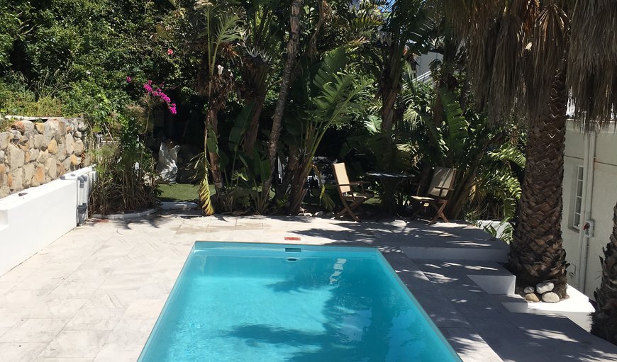 Garden and Pool in Camps Bay, Cape Town, Western Cape, South Africa